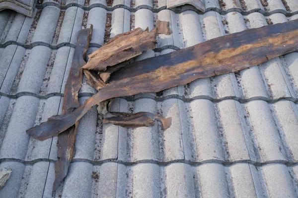 Understanding the Lifespan of Replacement Roofs