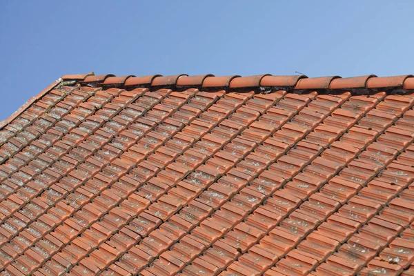 Protect Your Property with a Roof Replacement in Apopka